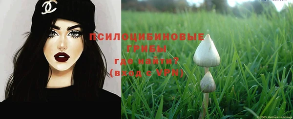 метамфетамин Алексеевка
