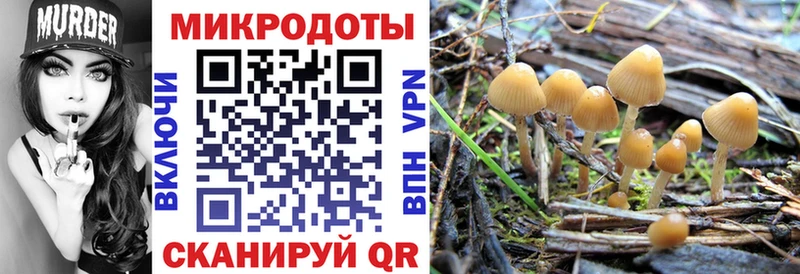 Галлюциногенные грибы Psilocybe  Купить закладки  Лесной 